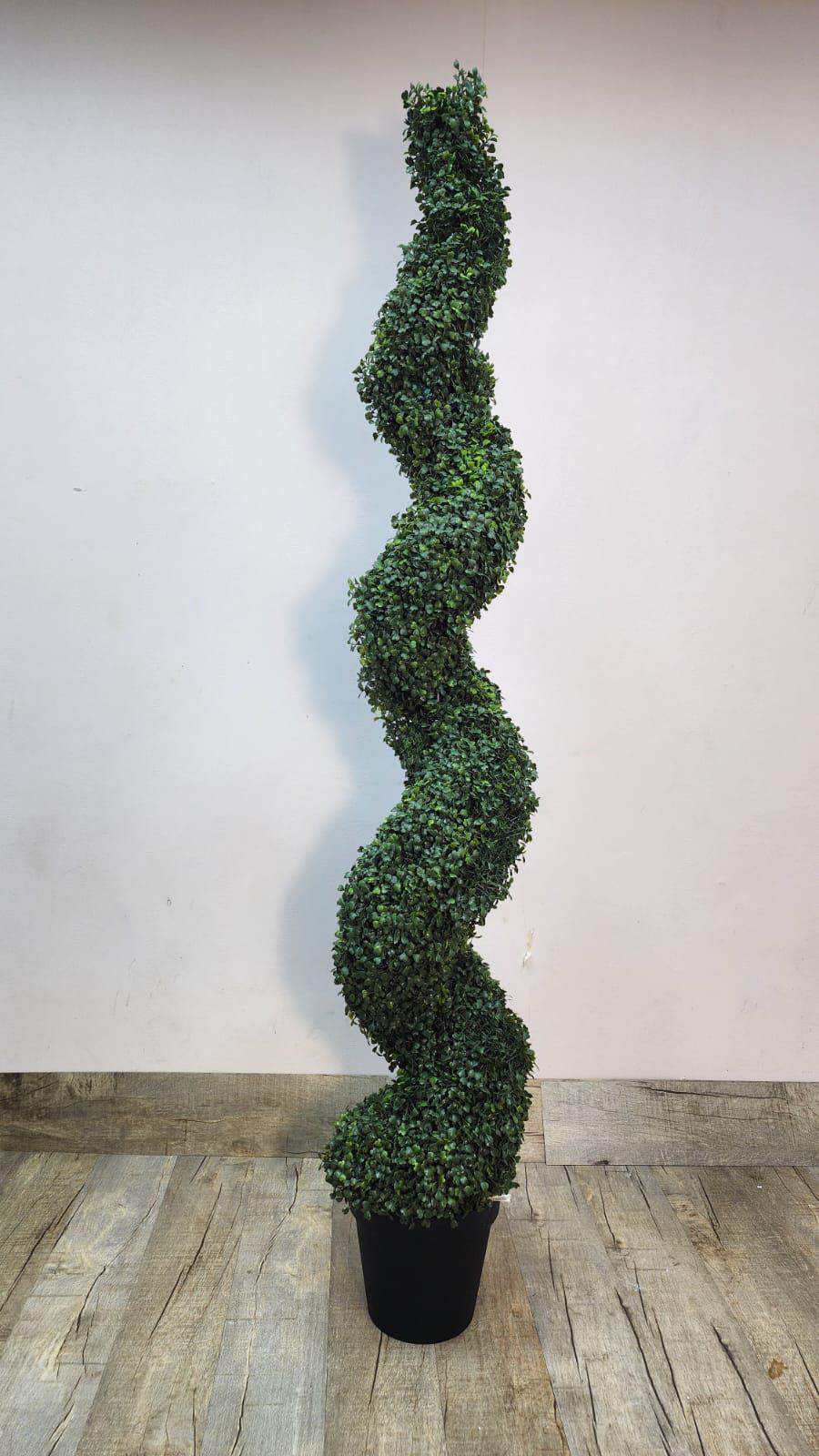 Artificial spiral ficus tree with dense green leaves in a black pot