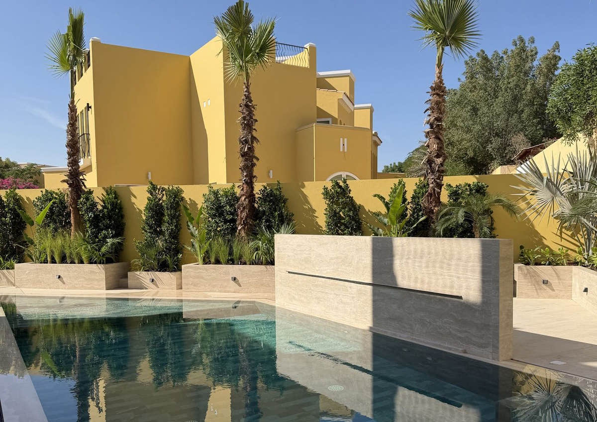 Clipped ficus screening columns along a Dubai villa boundary