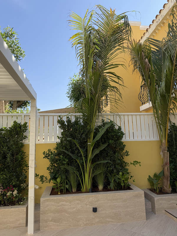 Pergola, planters and slatted screen