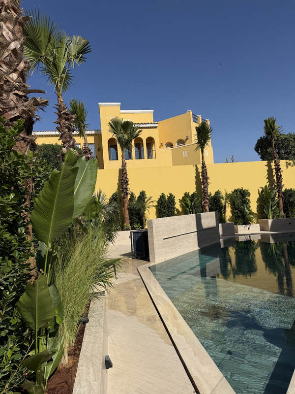 Poolside planting