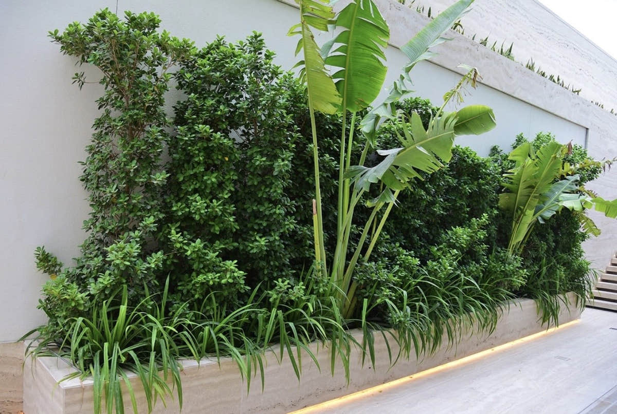 Dense planted wall of greenery with uplighting at a Dubai property