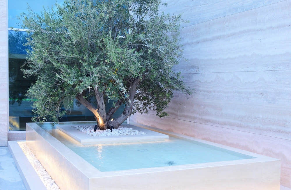 Olive tree in a travertine water feature with white pebble infill at a beachfront residence in Dubai