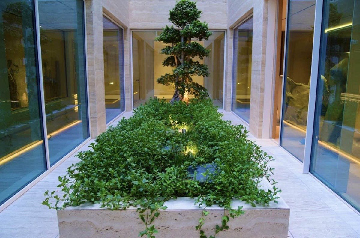 Courtyard planting against a stone wall in Dubai