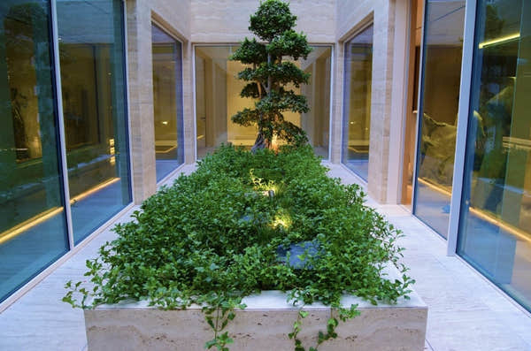 Glass courtyard