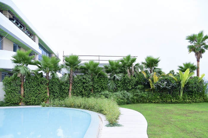 Pool, lawn and palm screening at a beachfront residence in Dubai